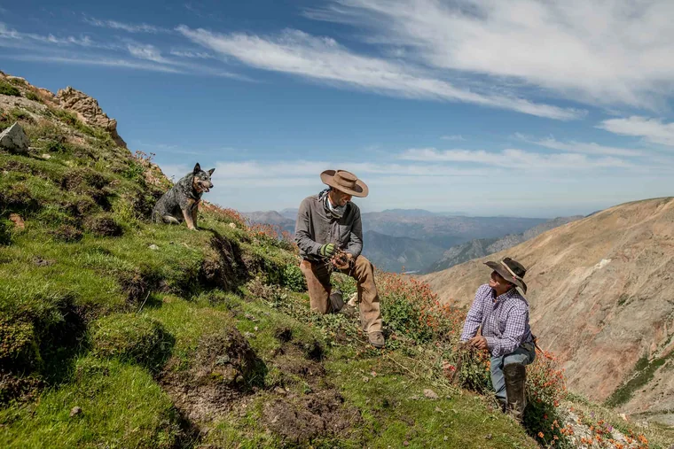 Trabajo de campo en la ladera