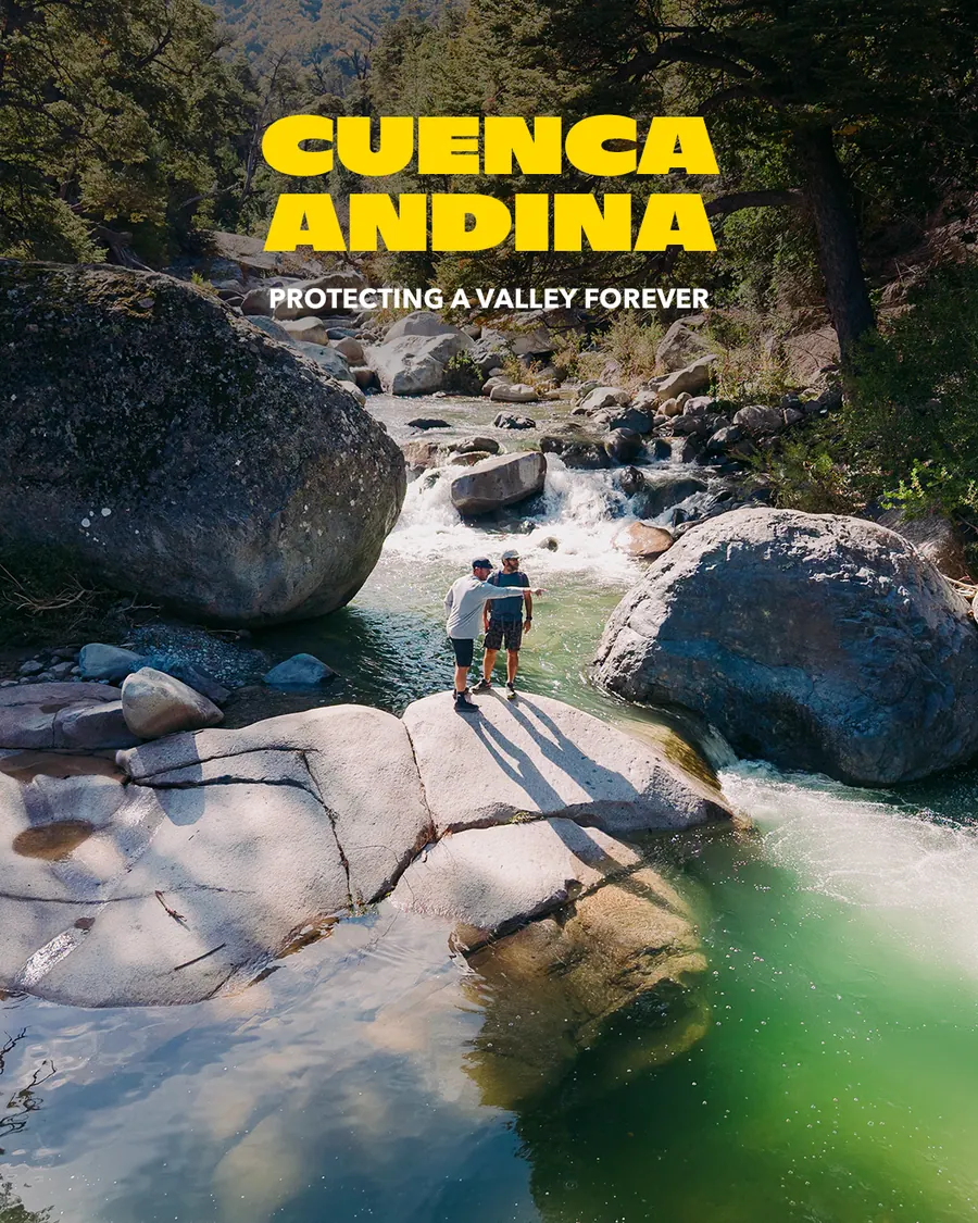 Cuenca Andina