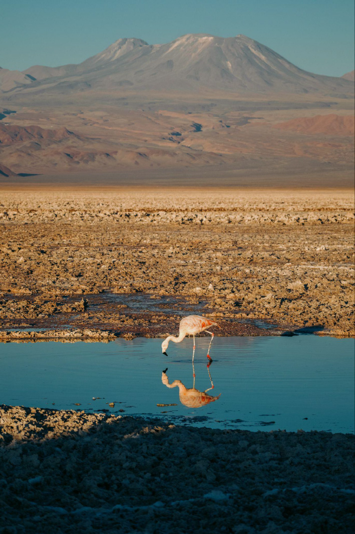 Atacama_20 Atacama Desert