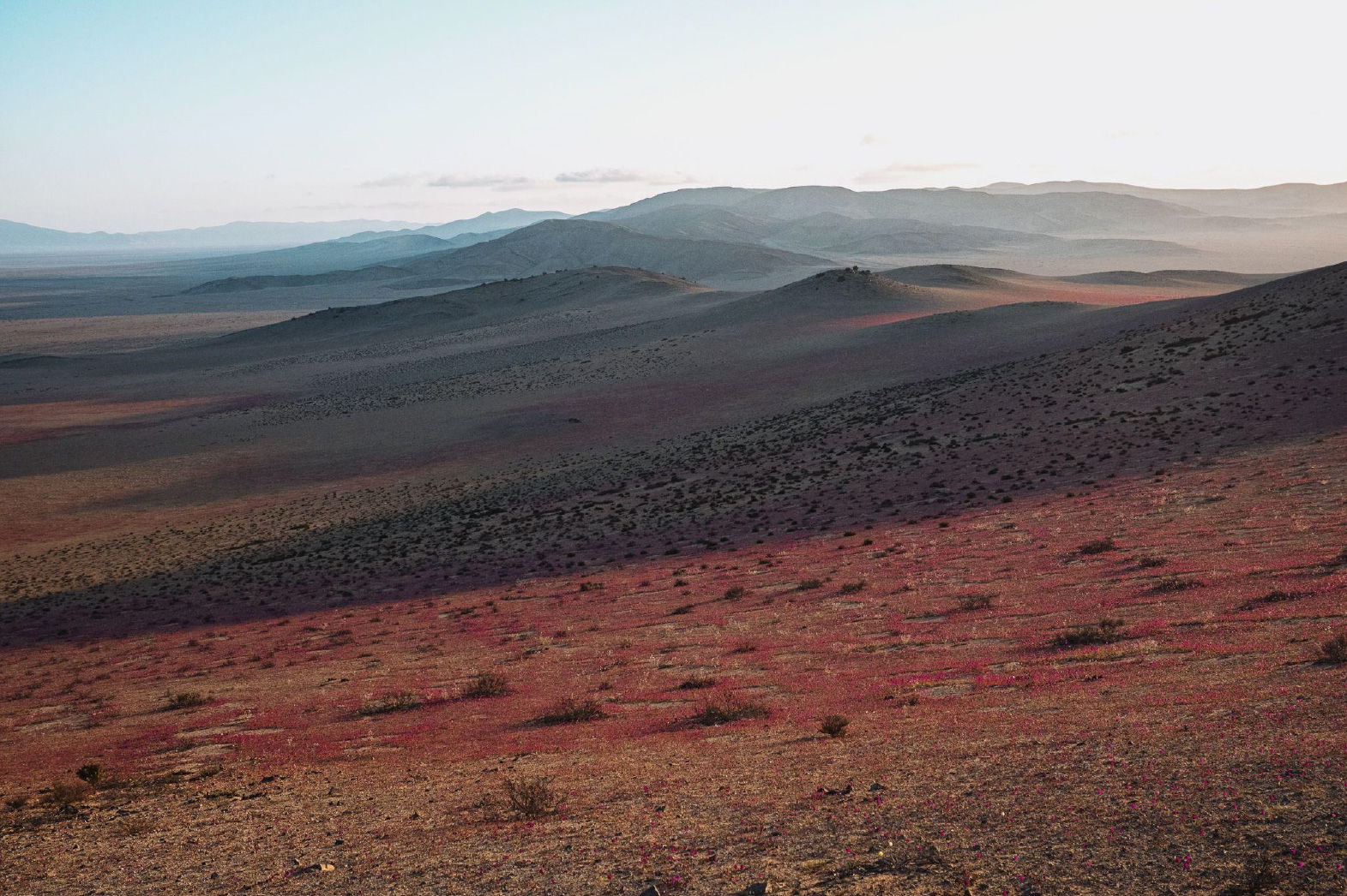 Atacama_28 Atacama Desert